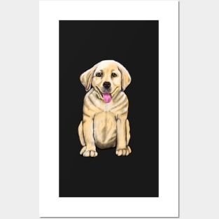 Labrador retriever- cute Golden Labrador retriever puppy dog Posters and Art